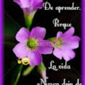 Meet your Posher, Katy